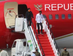 Kunjungi Kaltim Presiden Jokowi Akan Tinjau Persemaian Mentawir Hingga Hadiri Kongres PMKRI