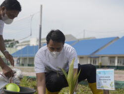 Hari Tanam Pohon, Ratusan Pohon Buah Ditanam PT PJB UBJOM Kaltim Teluk di Sekolah Kariangau