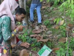 Kebun Raya Balikpapan Miliki Potensi untuk Tanaman Obat