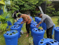 Kecamatan Balkot Budidaya Ikan Lele Dalam Ember