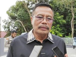 Sesalkan Pemangkasan Pohon Mangrove, Dewan Minta Jadi Perhatian OPD Terkait