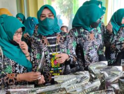 Dukung IKN, TP PKK Balikpapan Siapkan Sejumlah Program di 4 Pokja