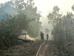 BPDB Imbau Waspada Kebakaran Selama Musim Kemarau