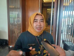 DPMPTSP Gelar Bimtek Untuk Pelaku Usaha Skala Besar dan UMKM