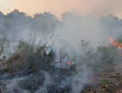 Plt BPBD Balikpapan Sebut Kebakaran Lahan Disebabkan Faktor Cuaca Panas Melanda Kota Balikpapan