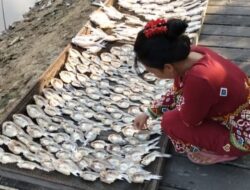 Olahan Ikan Muara Bengkal Pemasarannya Dilirik Mancanegara
