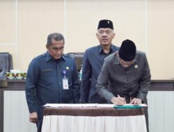 Wakil Ketua DPRD, Laisa Pertama Kali Pimpin Rapat Paripurna ke-29 Masa Sidang III 2023