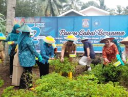 Gerakan Tanam Cabai SerentakTP-PKK Kota Balikpapan Peringati HKG PKK ke-52