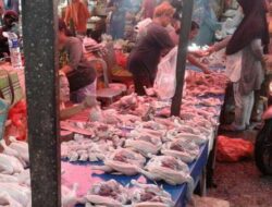 Disdag akan Lakukan Penataan di Pasar Pandansari, Terkhusus Pedagang Ayam