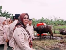Jelang Idul Adha 1447 H, Komisi II DPRD Balikpapan Sidak Kandang Hewan Kurban