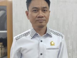 Pohon Rawan Tumbang di Balikpapan Timur, Sofyan Jufri Desak DLH Bergerak Cepat